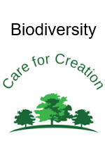 Biodiversity PDF